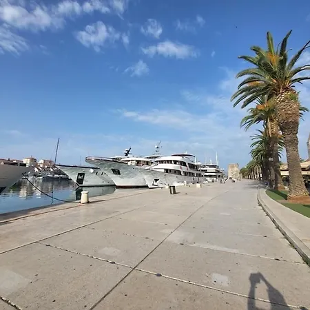 Dragazzo * טרוגיר